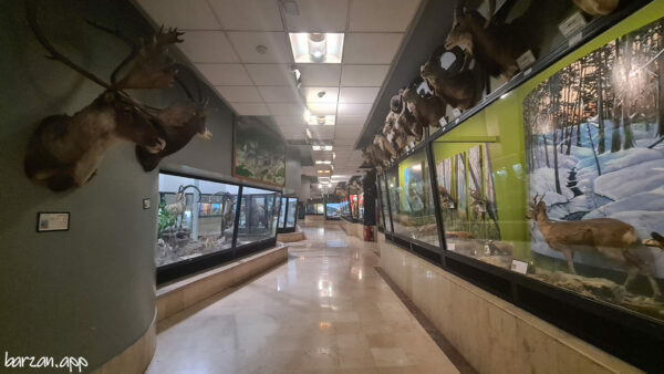 موزه تنوع زیستی پردیسان|جاذبه های گردشگری تهران