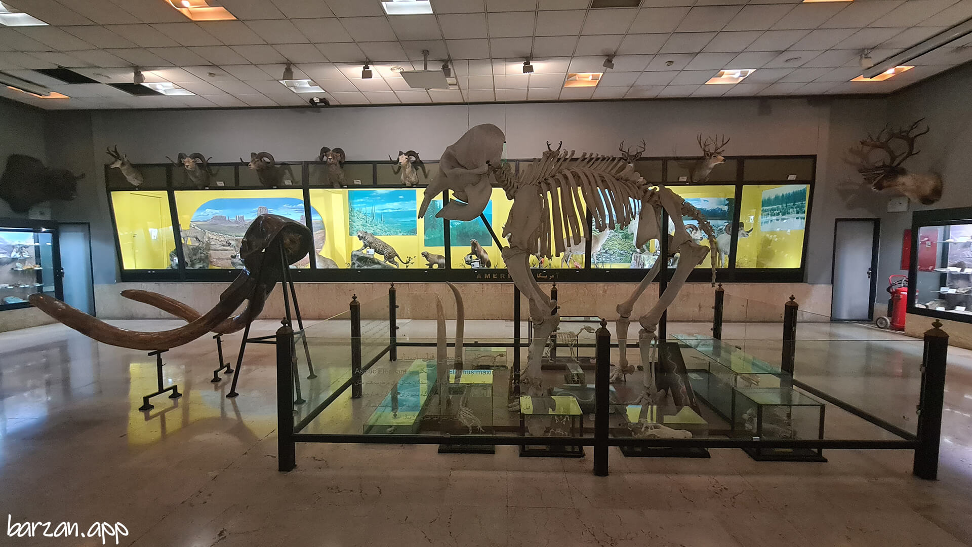موزه تنوع زیستی پردیسان|جاهای دیدنی تهران