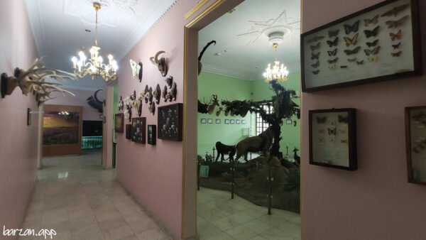 موزه آثار طبیعی و حیات وحش هفت چنار|مکان های دیدنی تهران