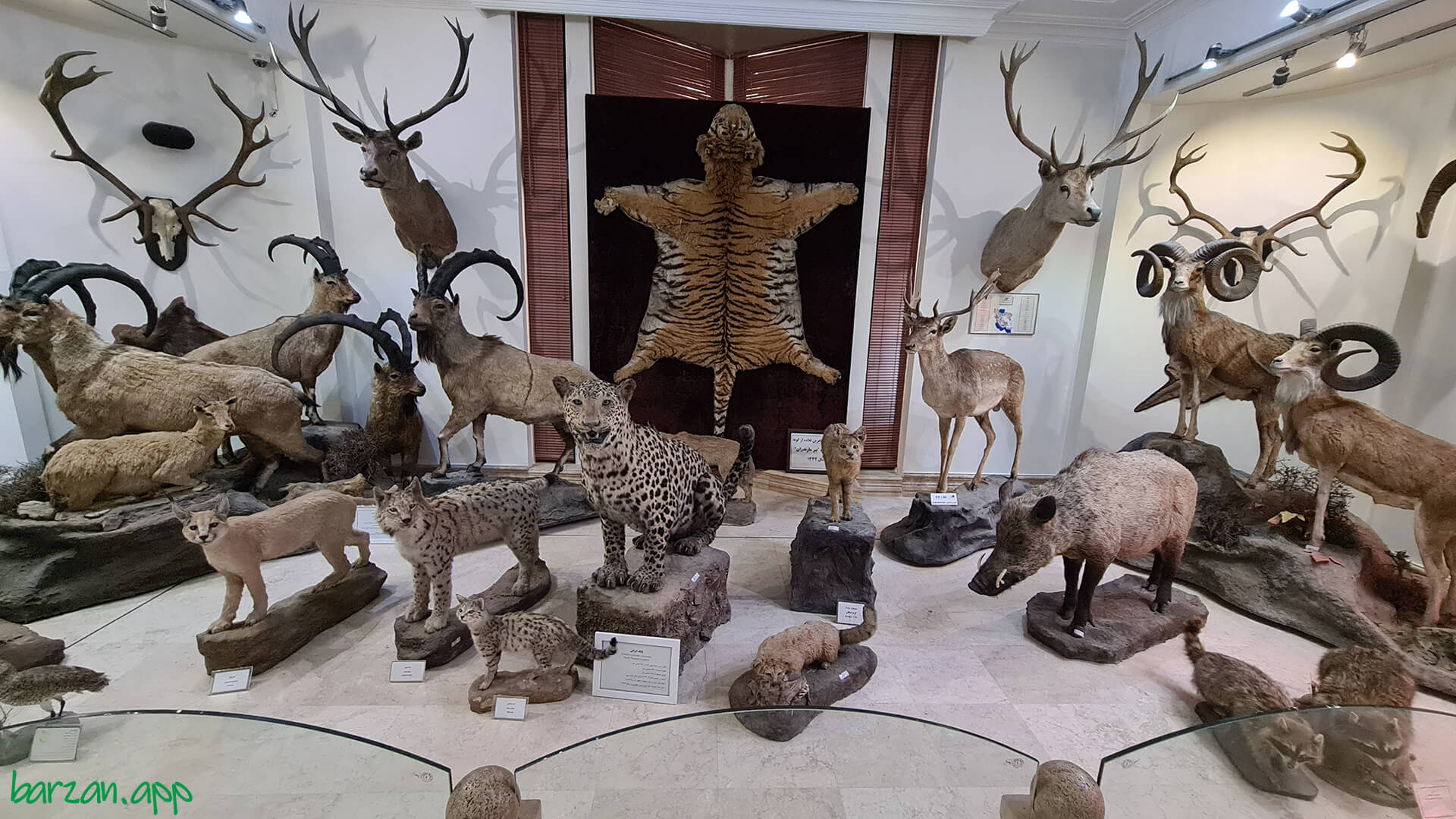 موزه طبیعت و حیات وحش ایران|مکان های دیدنی تهران